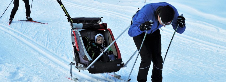 Swedish winter on skis